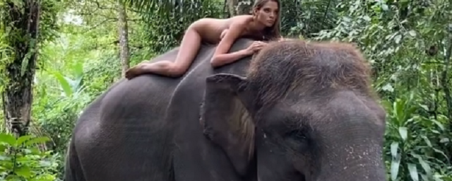 Алеся Кафельникова снялась в откровенной фотосессии со слоном