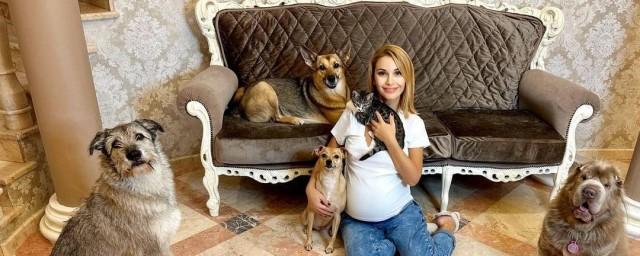 Телеведущая Ольга Орлова рассказала об отношении ее мужа к собакам в постели