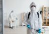 Дезинсекция: почему стоит доверить профессионалам